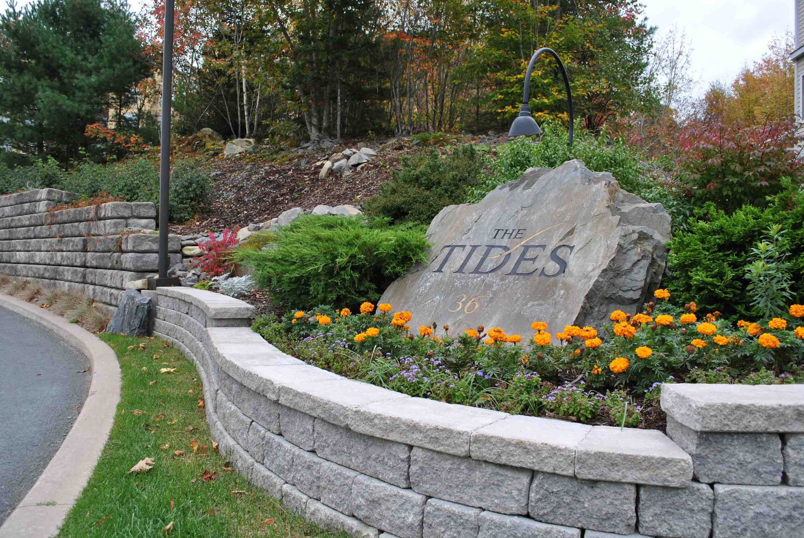 The Tides