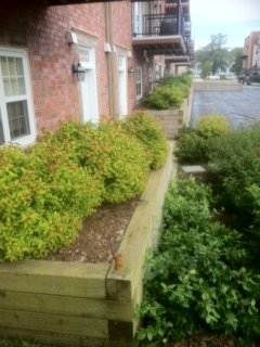 The Brickyard