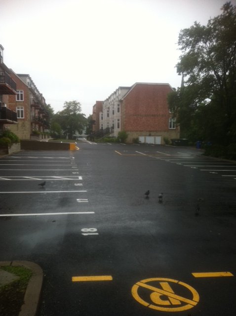 The Brickyard
