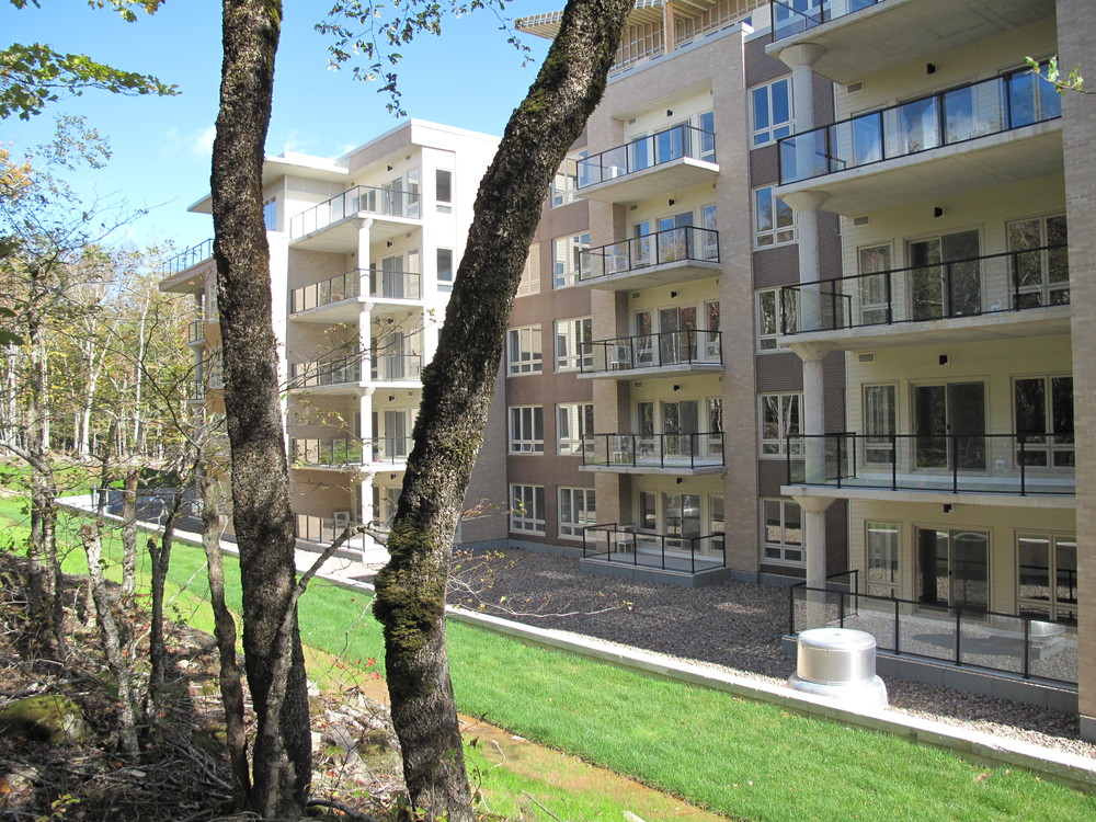 Domvista