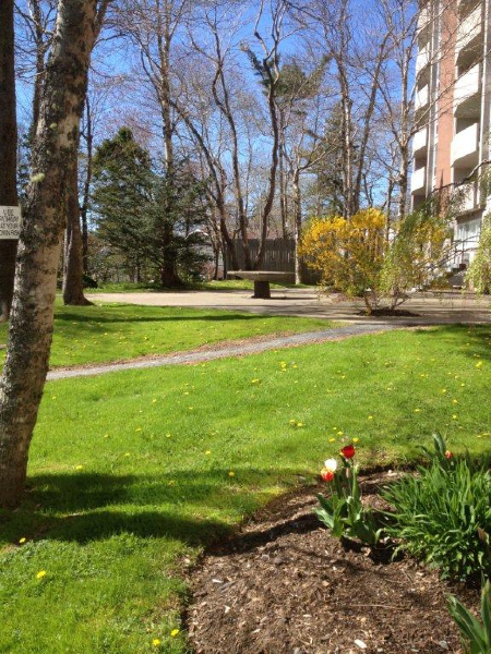 Parkhill Terrace