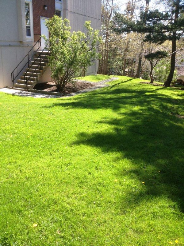 Parkhill Terrace